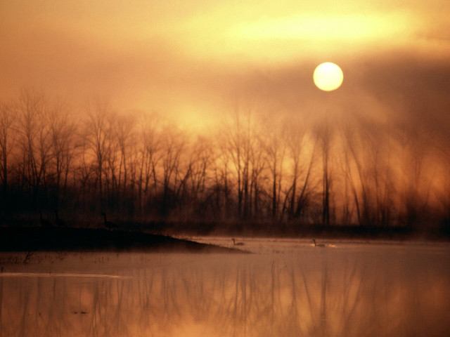 Water trees sun sky clouds #3 free wallpaper for desktop - medium preview image