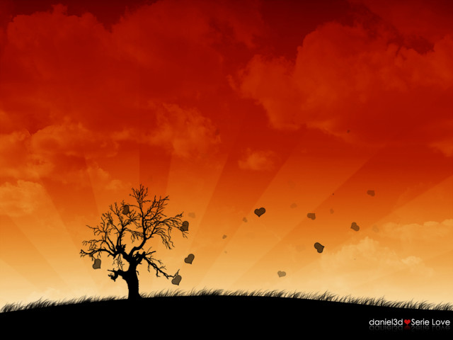 Tree sky sunburst butterflies red free wallpaper for desktop - medium preview image