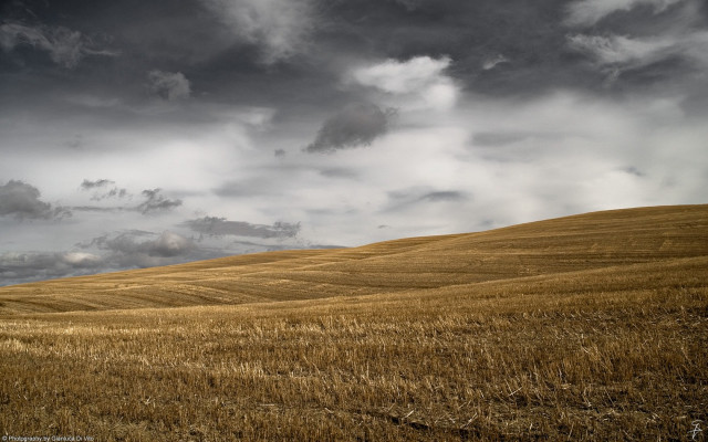 Wheat field cloudy sky lone #2 free wallpaper for desktop - medium preview image