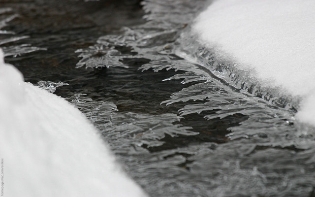 Stream snow forest ice flakes free wallpaper for desktop - medium preview image