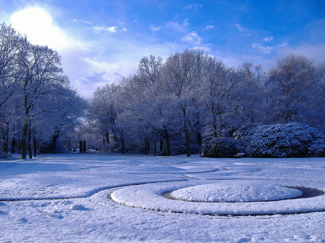 Snowy park circular design trees free wallpaper for desktop - medium preview image