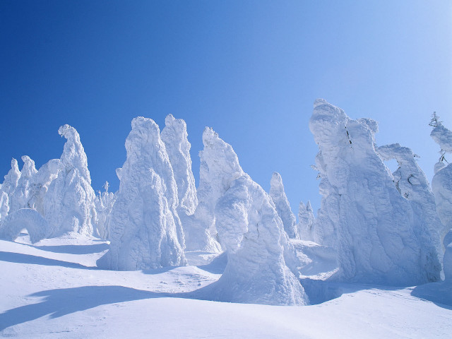 Snowboarder snow hill trees bushes #2 free wallpaper for desktop - medium preview image