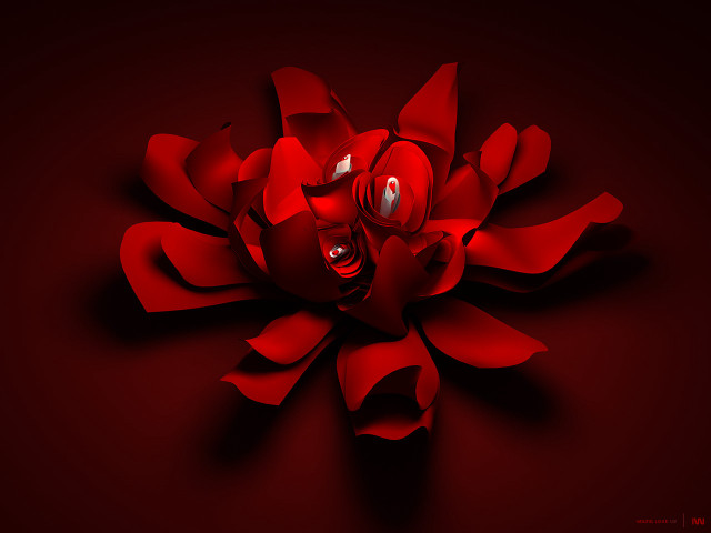 Red flower smiley face center free wallpaper for desktop - medium preview image