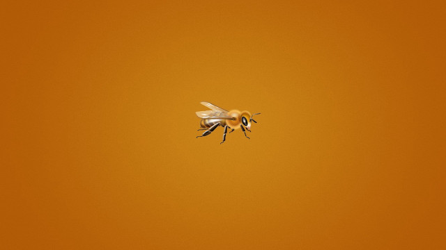 Bees flying yellow background black free wallpaper for desktop - medium preview image