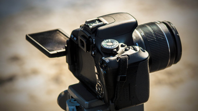 Camera phone lens macro video free wallpaper for desktop - medium preview image