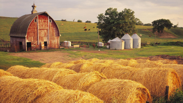 Barn field hay silos cows free wallpaper for desktop - medium preview image
