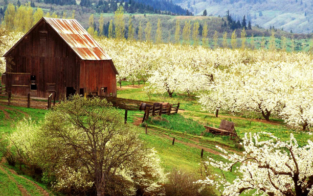 Barn flowers mountains trees fence free wallpaper for desktop - medium preview image