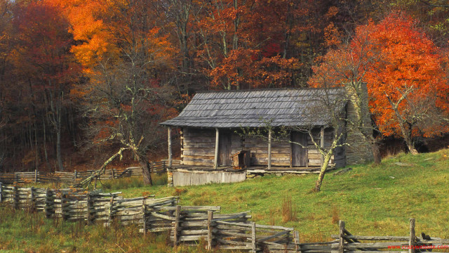 Rustic cabin woods fall colors free wallpaper for desktop - medium preview image