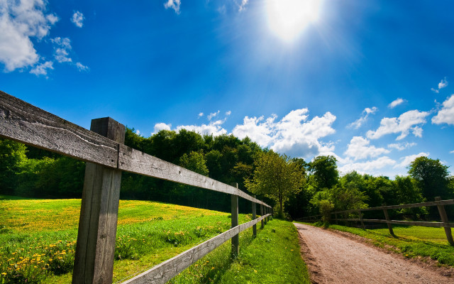 Dirt road fence sunny green free wallpaper for desktop - medium preview image