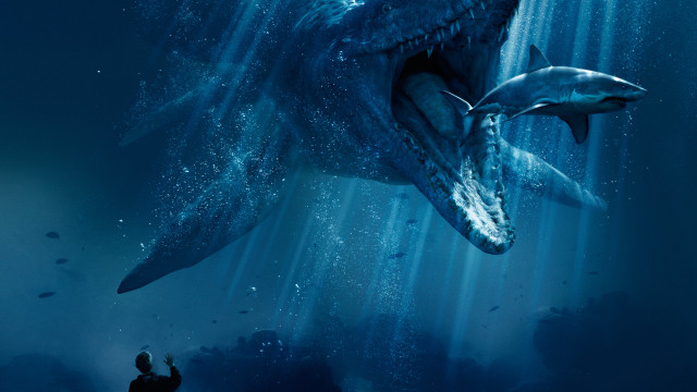 Man taking picture shark water free wallpaper for desktop - medium preview image