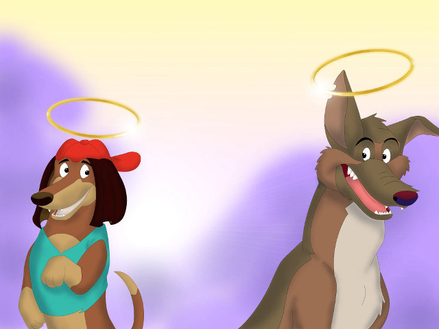 Dog halo dog hat funny free wallpaper for desktop - medium preview image