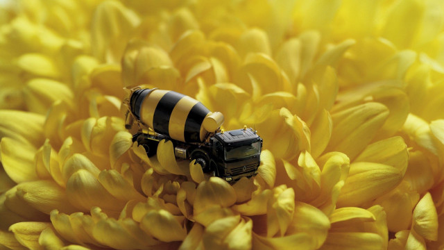 Toy truck yellow flower macro free wallpaper for desktop - medium preview image