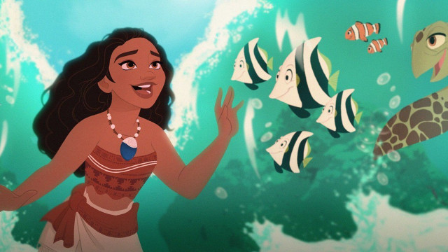 Woman bikini turtle fish sea free wallpaper for desktop - medium preview image