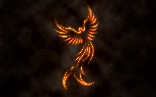 Bird orange flames flying dark free wallpaper for desktop - medium preview image