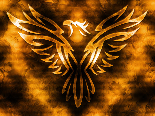 Golden bird black white wings free wallpaper for desktop - medium preview image