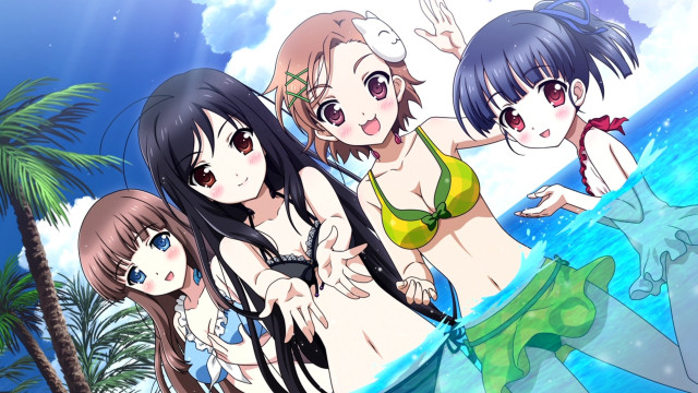 Girls bikinis beach ocean palm free wallpaper for desktop - medium preview image