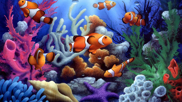 Clown fish coral reef seaweed #2 free wallpaper for desktop - medium preview image