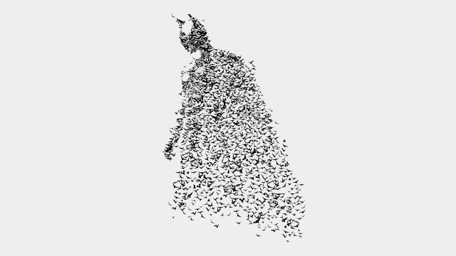 Man standing air birds flying free wallpaper for desktop - medium preview image