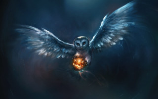 Owl pumpkin beak wings spread - pumpkin free wallpaper