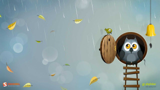 Bird perched ladder barrel rain - diego gisbert llorens free wallpaper