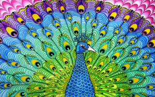 Colorful peacock feathers spread blue - charles bird king free wallpaper