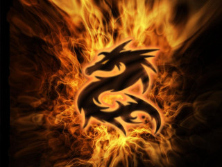 Dragon flames battle fire ember - dragon free wallpaper