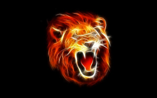 Lion head flames dark background - andrew robertson free wallpaper