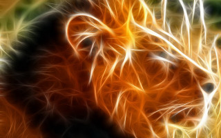 Lion digital painting blurry orange - a blurry effect free wallpaper