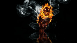 Fire skull smoke reflection back - a skull free wallpaper