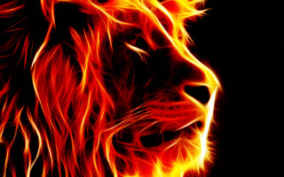 Lion flames dark bright red - a lion free wallpaper for desktop
