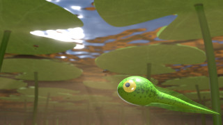 Green bird flying pond water - adam rex free wallpaper