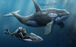 Man swimming whale water scuba - conceptart free wallpaper