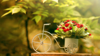 Small bicycle flower pot table - a flower pot free wallpaper