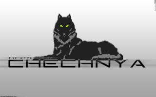 Black cat green eyes sitting - mecha free wallpaper