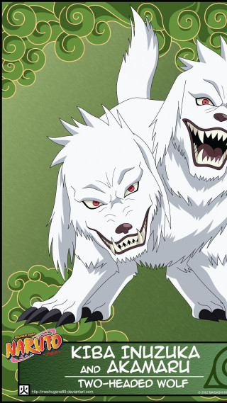 Two white dogs fangs open - their face free wallpaper for mobile