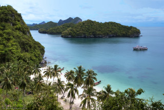 Boat water beach palm trees 2 - panoramic free wallpaper