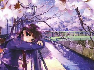 Girl bridge cherry blossoms river - cherry blossom free wallpaper