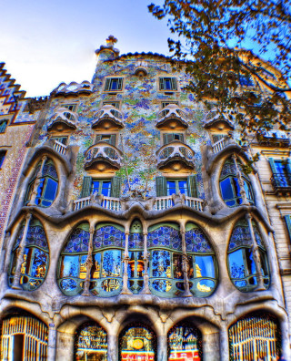 Building windows clock tree front - the front of its free wallpaper for mobile