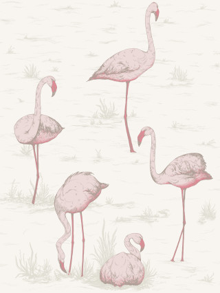 Flamingos beach water grass sandy - free animals wallpaper for mobile