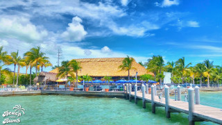 Pier thatched roof palm trees - a restaurant free wallpaper for desktop
