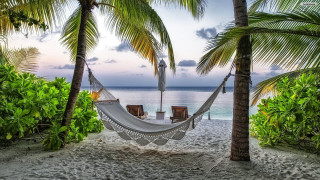 Hammock palm trees beach sunset - tranquil free wallpaper