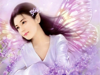 Woman butterfly wings flower hair - her hair free wallpaper for desktop