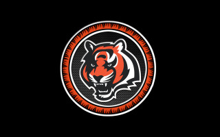 Tiger head red black circle - bengal school of art free wallpaper