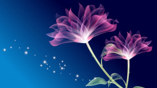 Flowers blue background stars sky 2 - the sky behind them free wallpaper