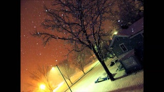 Tree snow night streetlight house - a tree in the snow free wallpaper