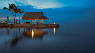 Dock thatched roof palm tree - carl critchlow free wallpaper for desktop