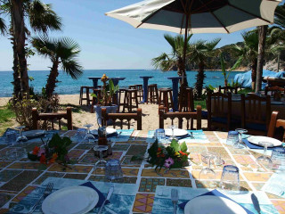 Beach dining table palm trees - exekia free wallpaper