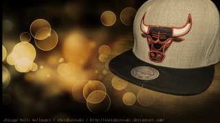 Chicago bulls hat table bokeh - boke free wallpaper