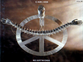 Lizard peace sign poster back - back cover free wallpaper