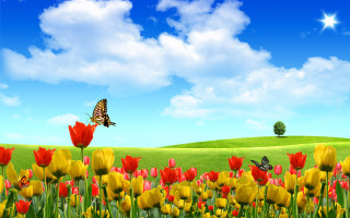 Flower field butterfly sky clouds - ammi phillips free wallpaper